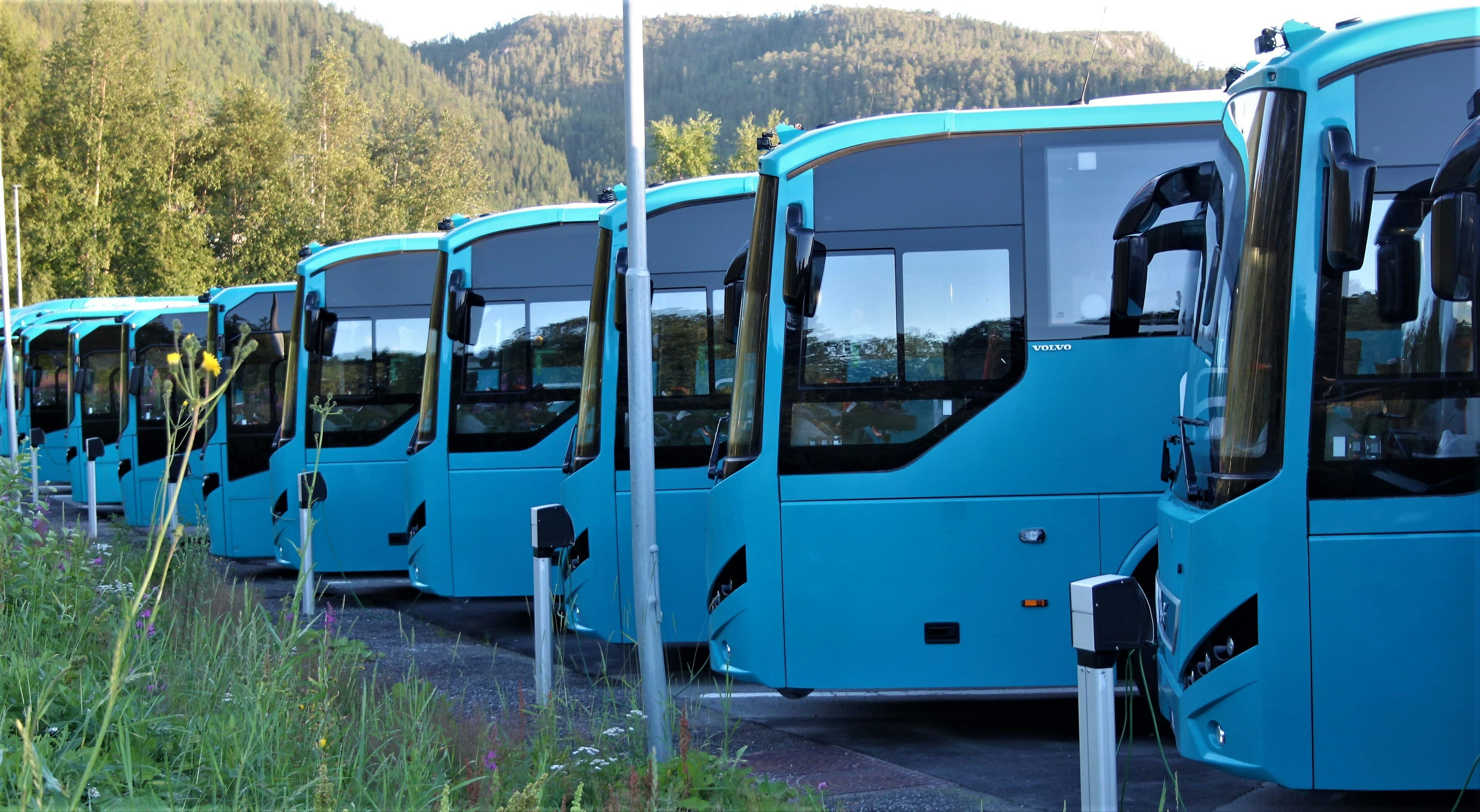 Busunternehmen
